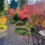 Clean Up Your Outdoor Spaces NOW to Save Time, Money, and Stress When It’s Time to Move