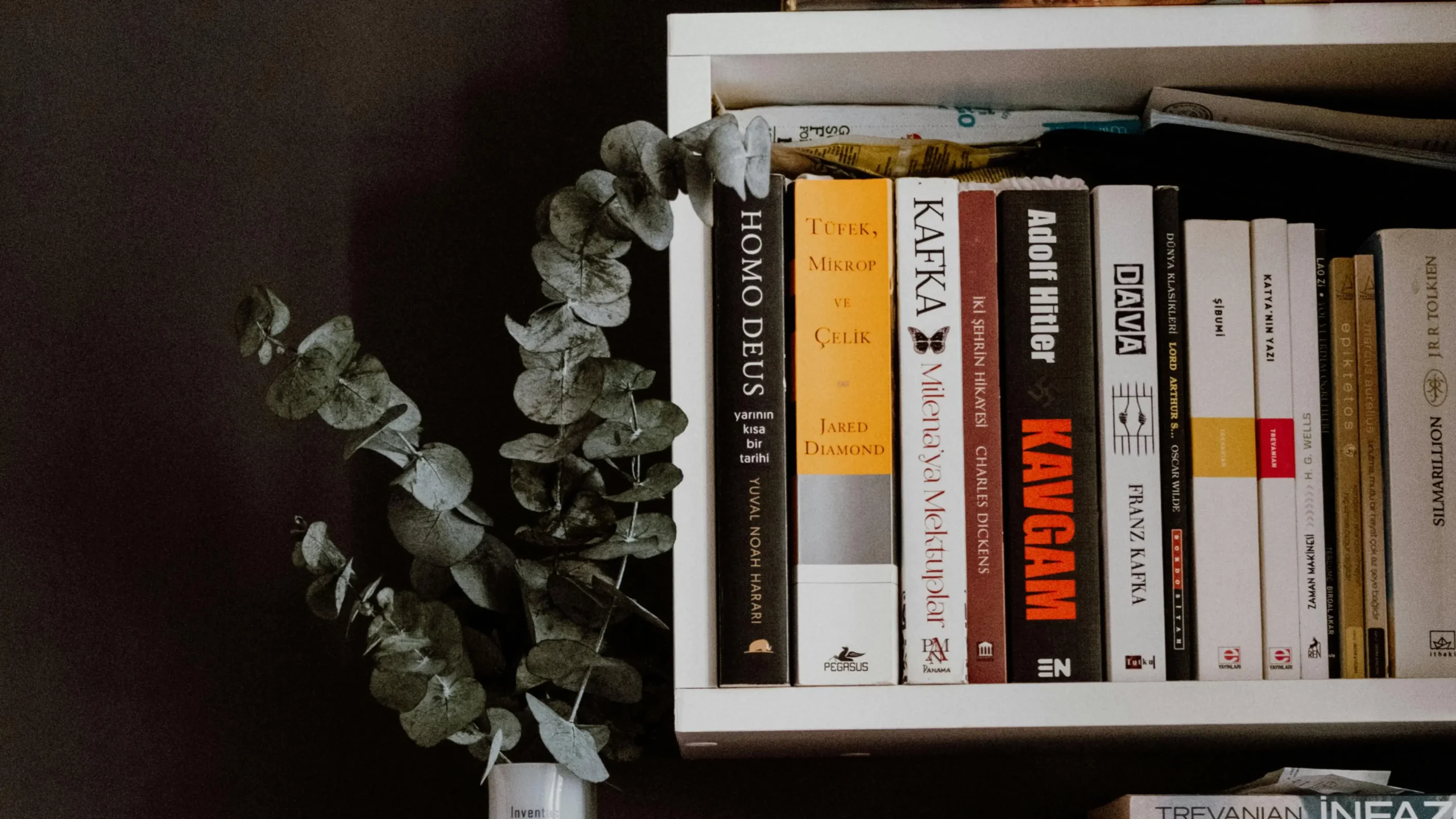 From Clutter to Cozy: How to Create the Perfect Reading Nook 